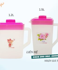 Ca đựng nước vuông nhựa dày có quai giá sỉ rẻ tại HCM 9 ca da vuong trong nap hong 1.2 1.5l