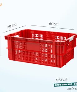 Sóng Hở 2T4 Nhiều Màu Giá Sỉ Rẻ – Bền Đẹp, Tiện Dụng 9 song ho 2t4 quai 2 mau do