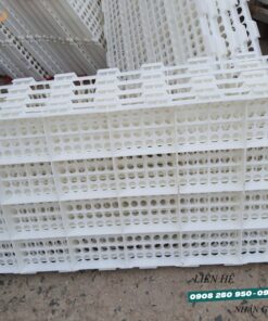 Chuyên cung cấp sàn nhựa lỗ tròn 50x100cm nuôi dê bò, gà vịt, thú cưng giá tốt 6 tan lot san nhua lo tron trang