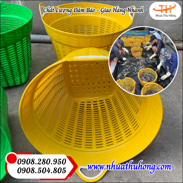 Cần xé nhựa lớn bỏ sỉ giá rẻ tại HCM 5 can xe nhua 1