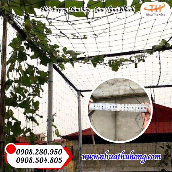 Lưới cước làm giàn leo giá sỉ rẻ chất lượng tại TPHCM 4 luoi lam dan leo