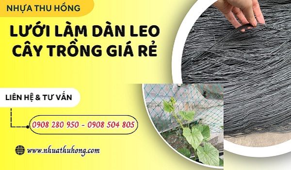Lưới cước làm giàn leo giá sỉ rẻ chất lượng tại TPHCM 1 luoi leo cay