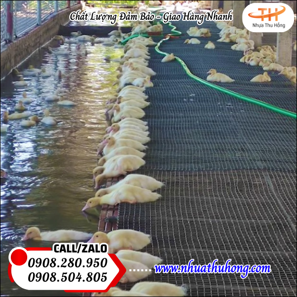 Lưới nhựa đen cứng, lưới nhựa mắt cáo hàng sẵn kho, giá sỉ tốt siêu rẻ 4 luoi nhua cung mau den