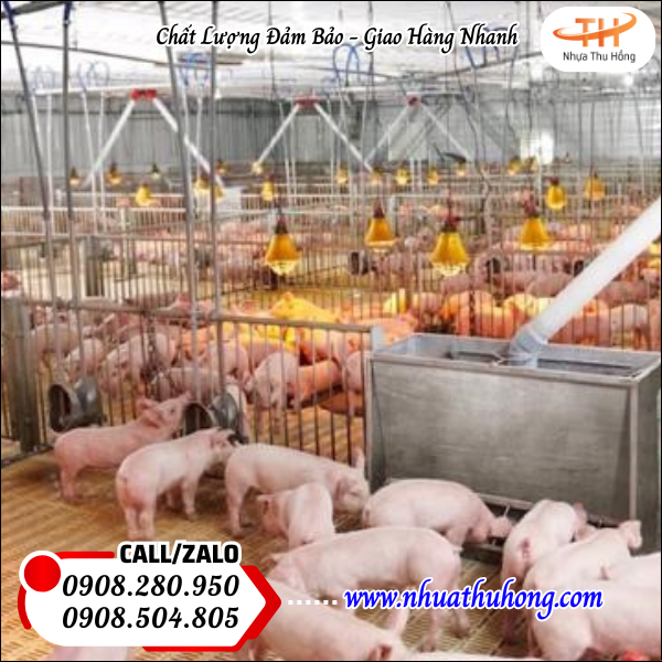 Bán sỉ rẻ sàn nhựa nuôi heo, gà, dê, vịt chất lượng cao giá gốc từ xưởng 3 san nhua nuoi heo gia re