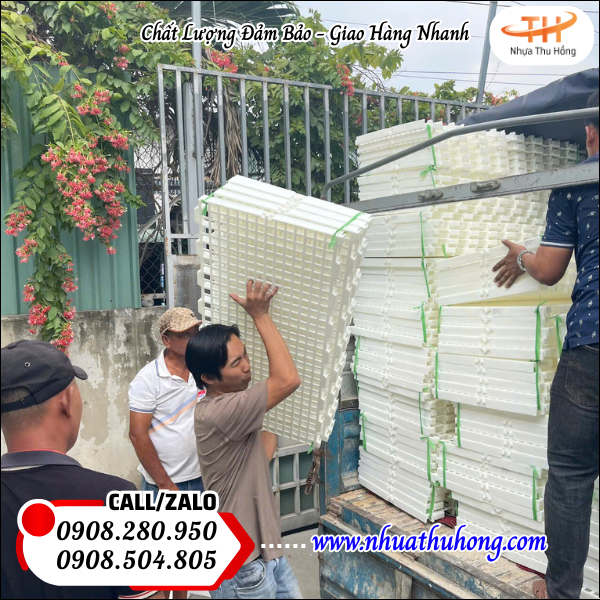 Giao 400 Tấm Sàn Nhựa Trắng Chất Lượng Cao Tại Công Ty Nhựa Thu Hồng 4 Sàn nhựa chăn nuôi giá xưởng