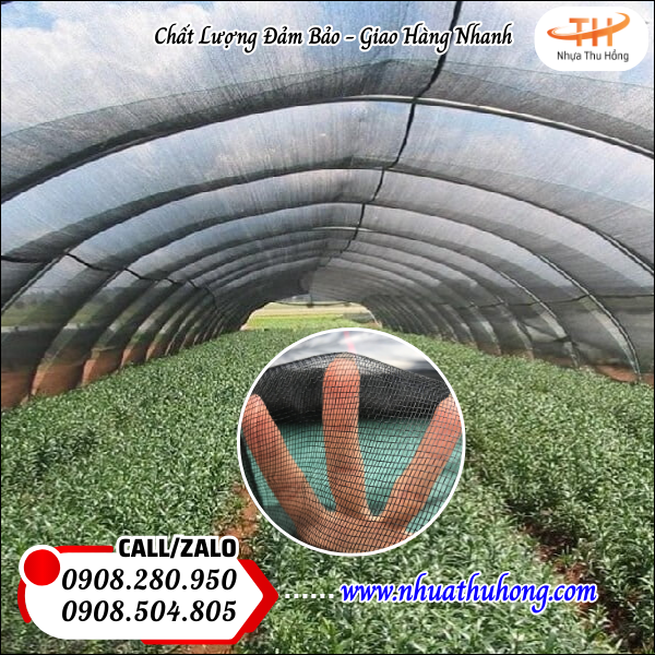 Lưới mùng đen chống côn trùng mua sỉ giá rẻ chất lượng cao 2 luoi mung den chong con trung gia goc