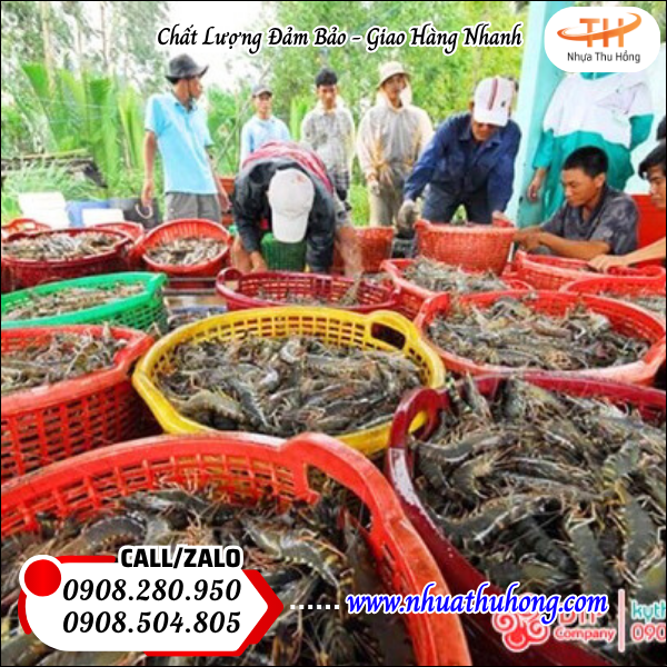 Cần xé nhựa lớn giá sỉ rẻ hàng dày bền giao hàng toàn quốc 3 cần xé nhựa có lỗ thoáng khí