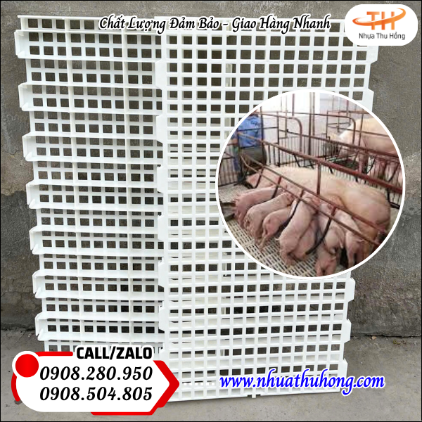 Sàn nhựa chăn nuôi 50x100cm giá sỉ rẻ bền chắc thoáng khí 3 mua sỉ sàn nhựa chăn nuôi