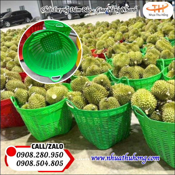 Chuyên sỉ giỏ nhựa đựng rau củ giá rẻ dẻo dai nhiều kích thước 3 Cần xé đựng rau quả cho nhà vườn – nhẹ tay, bền theo mùa vụ.