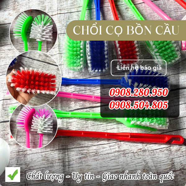 Cây cọ bồn cầu siêu sạch