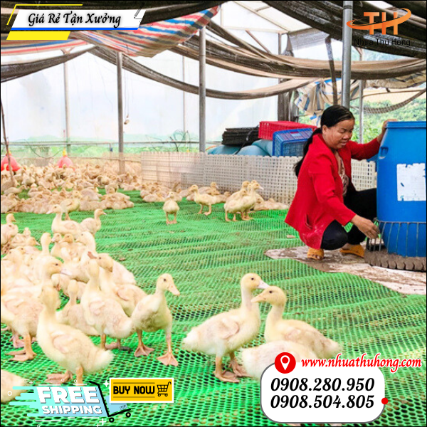 lưới nhựa xanh che sân phơilưới nhựa xanh che cây trồng