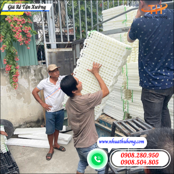 sàn nhựa trắng