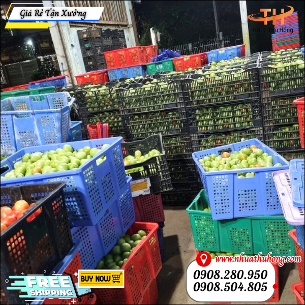 sóng nhựa đựng cam, xoài, mít, ổi, chuối