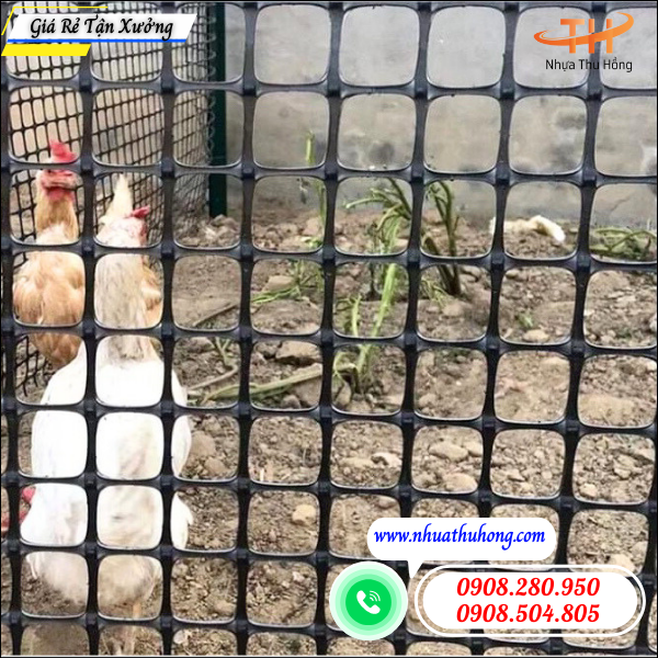 Điểm cung cấp lưới nhựa ô vuông giá sỉ rẻ tốt nhất HCM 3 lưới nhựa ô vuông làm hàng rào
