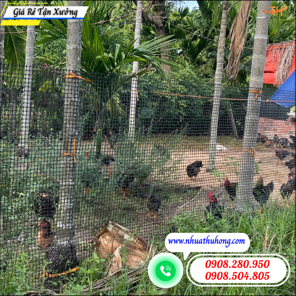 Lưới nhựa dẻo rào gà giá rẻ – bán sỉ toàn quốc 4 lưới nhựa rào gà