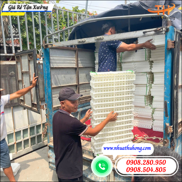 Thu Hồng giao đơn sàn nhựa trắng 50x100cm cho khách sỉ Nhà Bè 2 sàn nhựa trắng giao nhanh