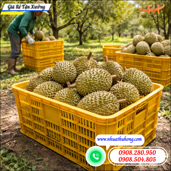 Mua sỉ sóng nhựa, sọt nhựa đựng sầu riêng giá rẻ toàn quốc 3 sọt nhựa vàng đựng sầu riêng