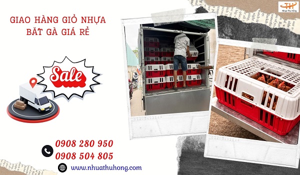 Tổng kho nhựa Thu Hồng giao hàng giỏ nhựa bắt gà đi tỉnh 1 giao long nhua bat ga 1