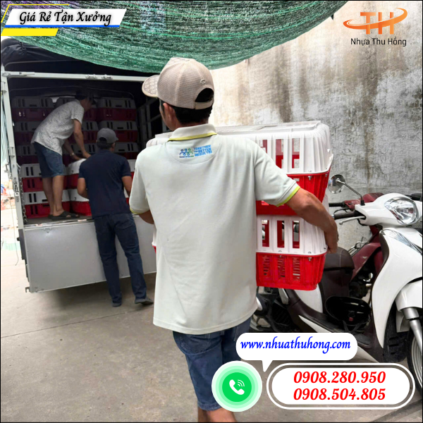 Tổng kho nhựa Thu Hồng giao hàng giỏ nhựa bắt gà đi tỉnh 2 Giỏ Nhựa Bắt Gà Giá Sỉ Tận Kho Cho Đại Lý.
