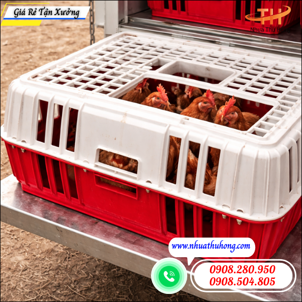 Tổng kho nhựa Thu Hồng giao hàng giỏ nhựa bắt gà đi tỉnh 3 Giỏ Nhựa Bắt Gà Giá Sỉ Cho Đại Lý Thiết Bị Chăn Nuôi.