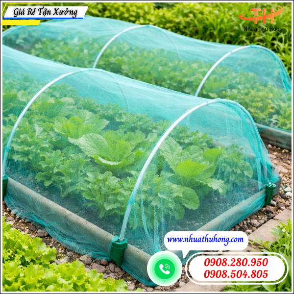 Tổng kho lưới mùng xanh chắn muỗi, chắn sâu bệnh giá rẻ 4 lưới mùng xanh làm vườn rau