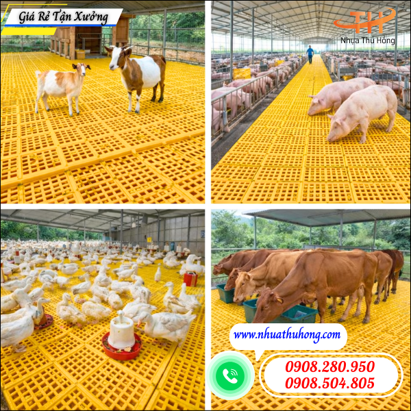 Bỏ sỉ sàn nhựa lót chuồng 40x60cm giao hàng nhanh toàn quốc 4 sàn nhựa chăn nuôi dễ vệ sinh