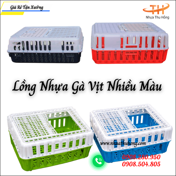 Lồng nhựa gà vịt giá sỉ rẻ tại HCM hàng bền đẹp dễ bán 3 Lồng Nhựa Đựng Gà Vịt Dung Tích Lớn Giá Rẻ.
