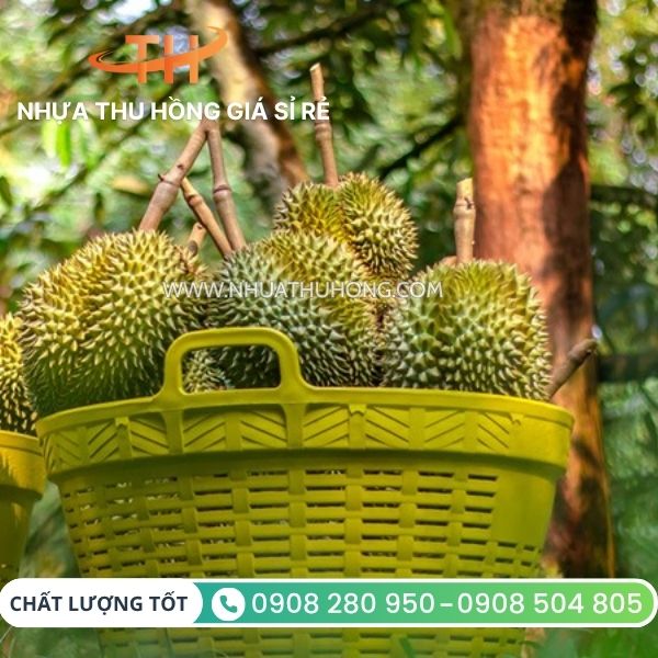 Nơi bán cần xé nhựa giá tại kho rẻ nhất miền Nam 5 Cần xé nhựa tại miền Nam,