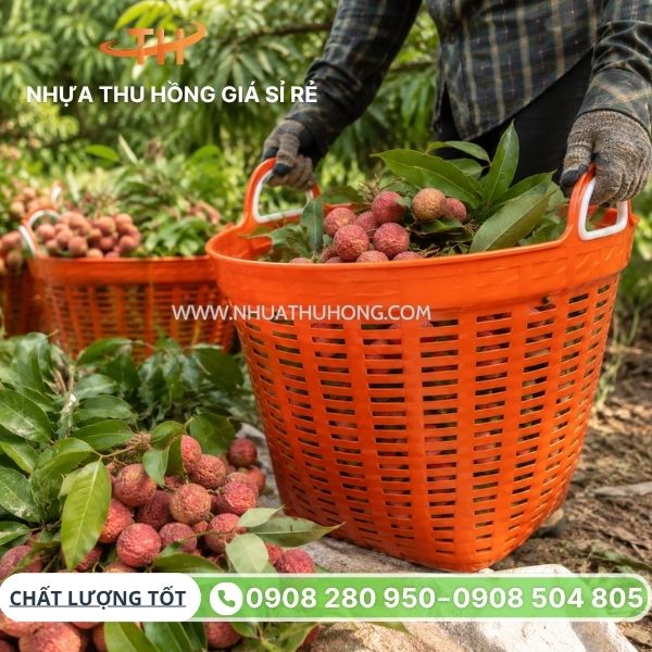 Nhà phân phối cần xé nhựa đựng nông sản giá tốt ưu đãi 6 Cần xé nhựa đựng nông sản giá tốt ưu đãi